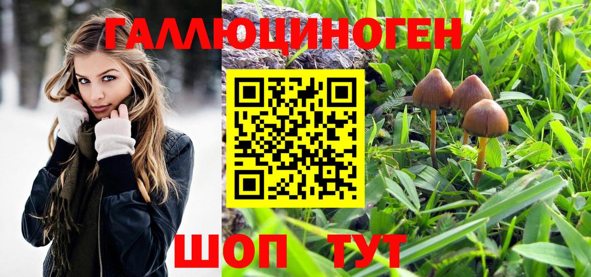Лабинск  Псилоцибиновые грибы Psilocybine cubensis  Вход с VPN 