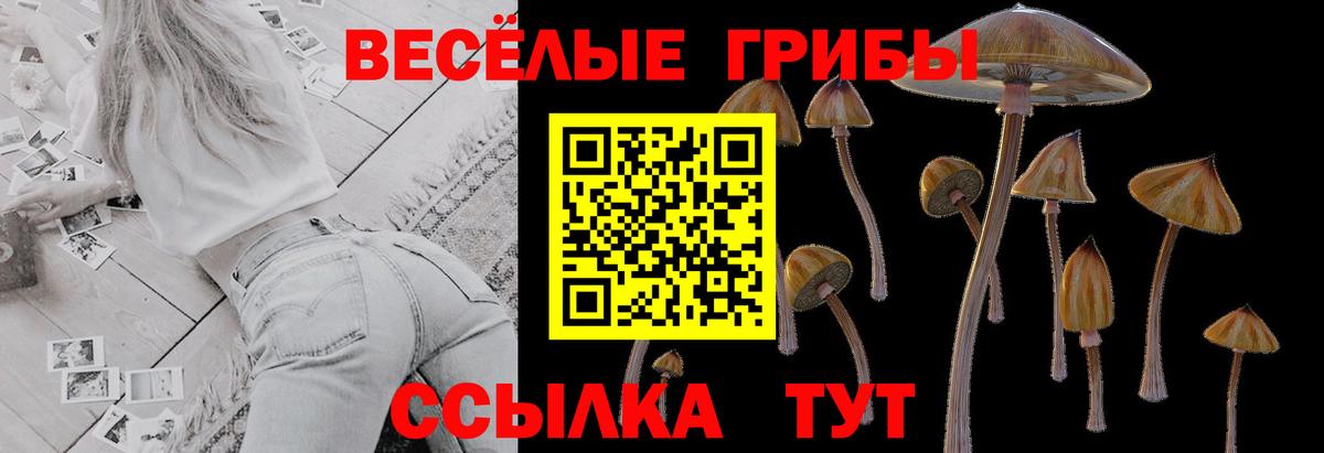 Меф   Cocaine  Вход с VPN  Амфетамин кристаллы  ГАШИШ  Конопля  Экстази  Лабинск  Гашиш 